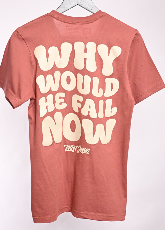 WHY WOULD HE FAIL NOW - CLAY+ BONE T-SHIRT